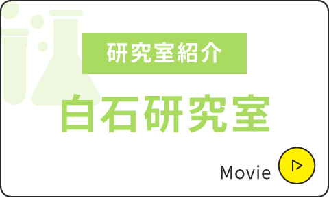 研究室紹介|白石研究室