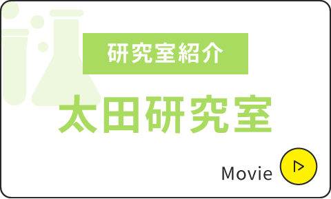 研究室紹介|太田研究室