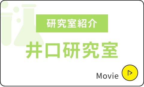 研究室紹介|井口研究室