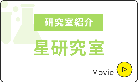 研究室紹介|星研究室