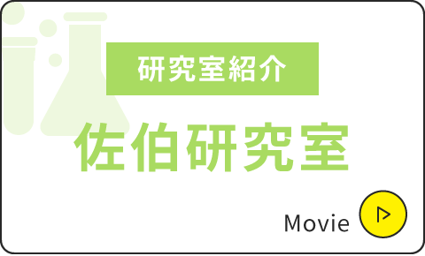 研究室紹介|佐伯研究室