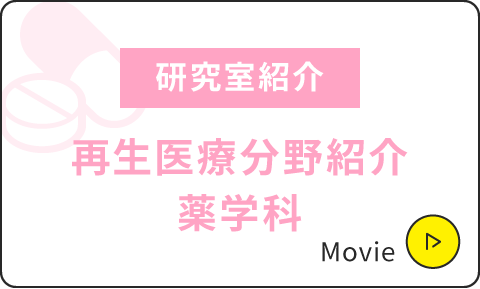 研究室紹介|薬剤学・製剤学分野(牛島先生)2