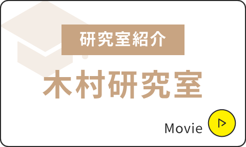 研究室紹介|内田研究室(教職課程)