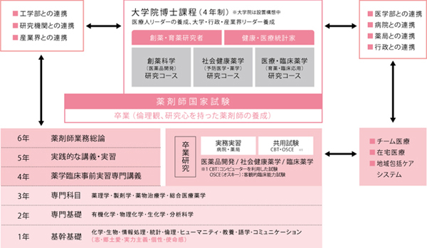 薬学部の教育課程イメージ