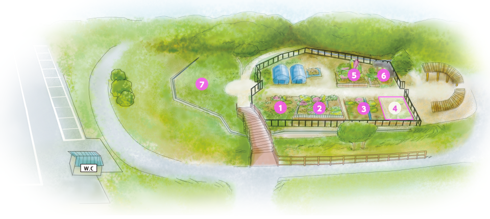 学部の入試情報 山陽小野田市立山口東京理科大学