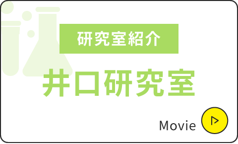 研究室紹介｜井口研究室