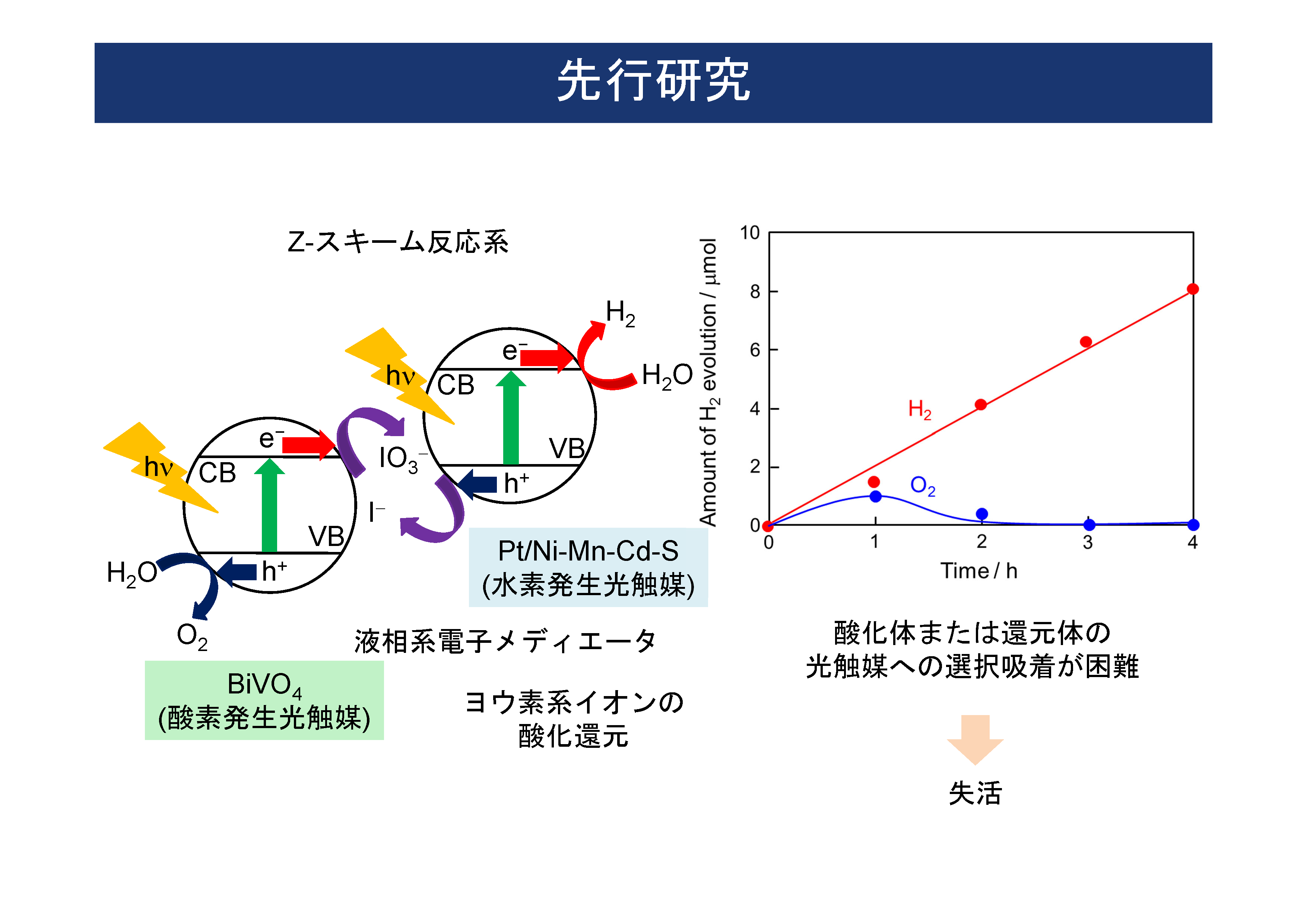 画像：スライド