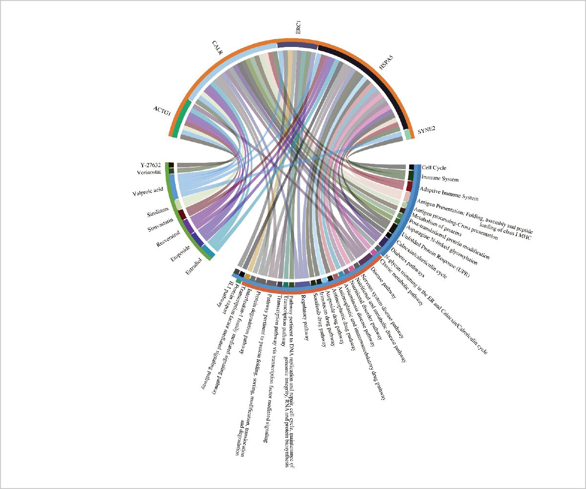 マルチオミックスデータ解析による創薬研究 研究課題1の図