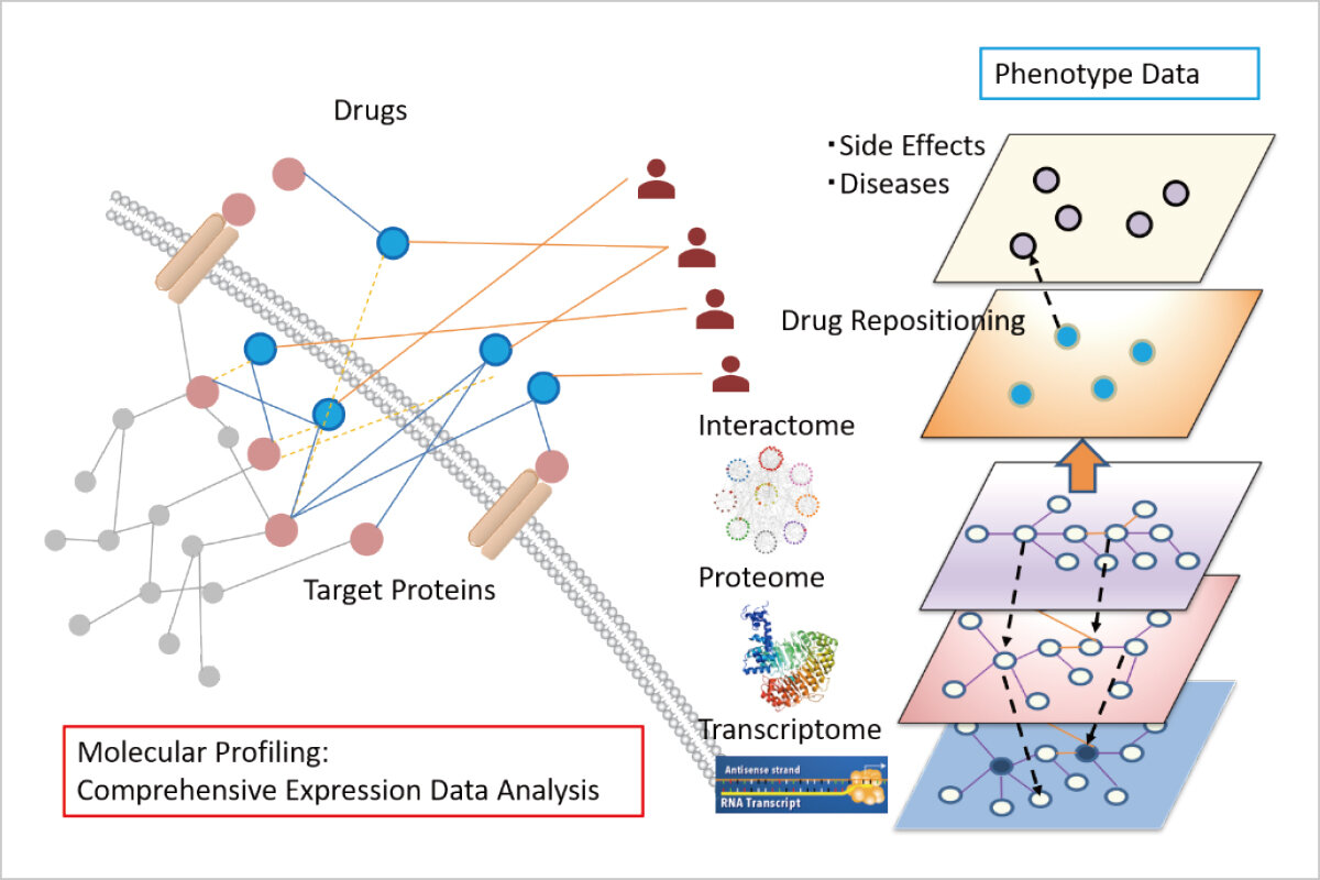 分子プロファイリングによる創薬支援 研究課題1の図