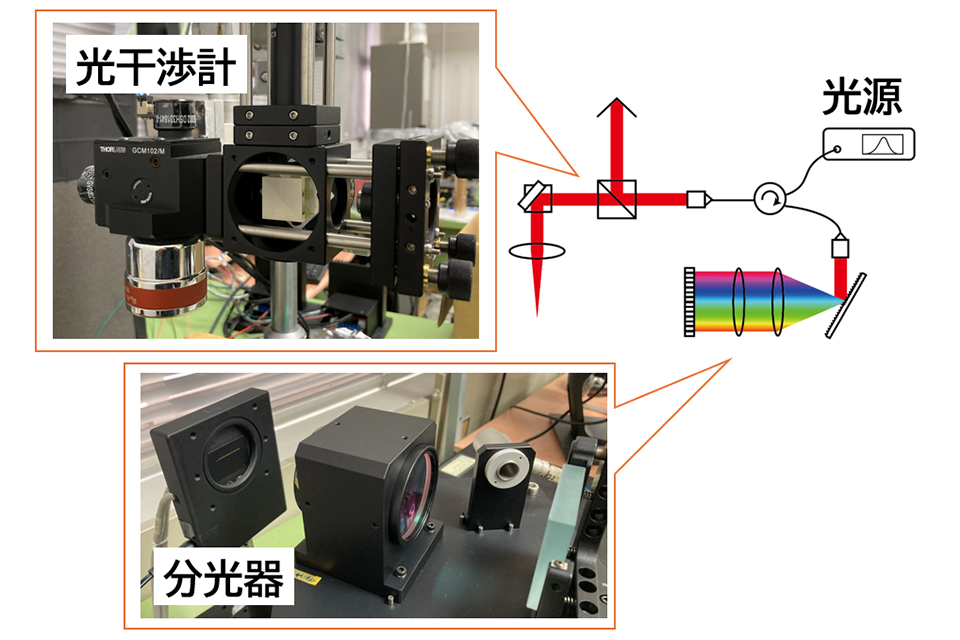 研究室で新開発した光計測技術（光干渉断層計）