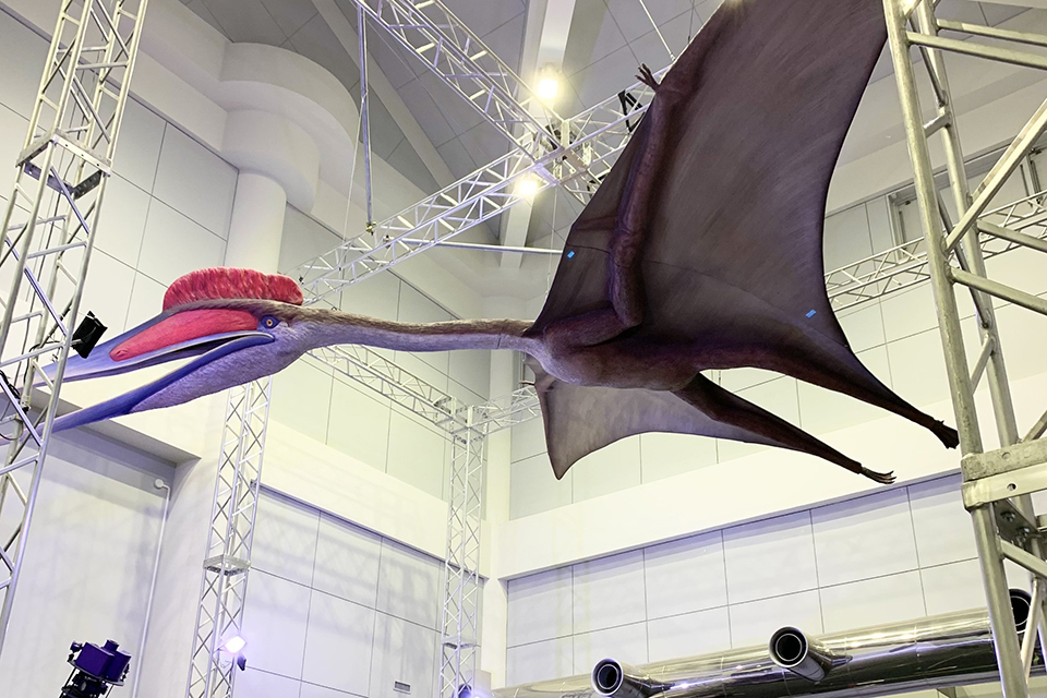 大型翼竜の飛行能力の検証（エネルギー消費の少ない効率的飛行技術）