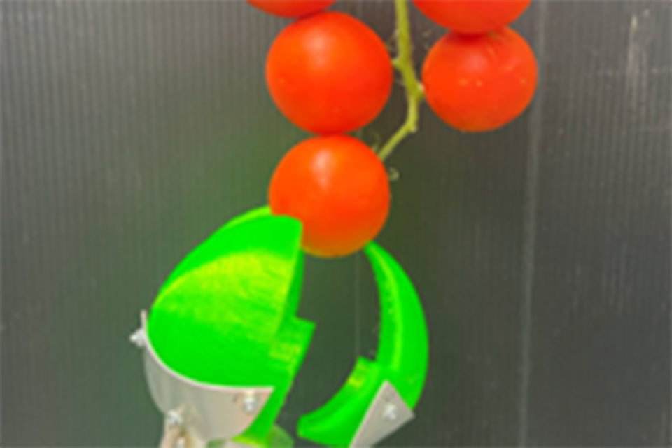 農作物に優しい開閉式収穫ハンド開発