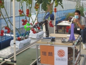 R3_トマトロボット競技会