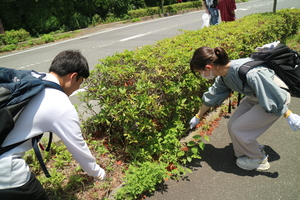 IMG_5490.JPG