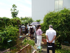 DSC03378.JPG