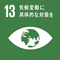icn_sdgs_goals_13.jpg