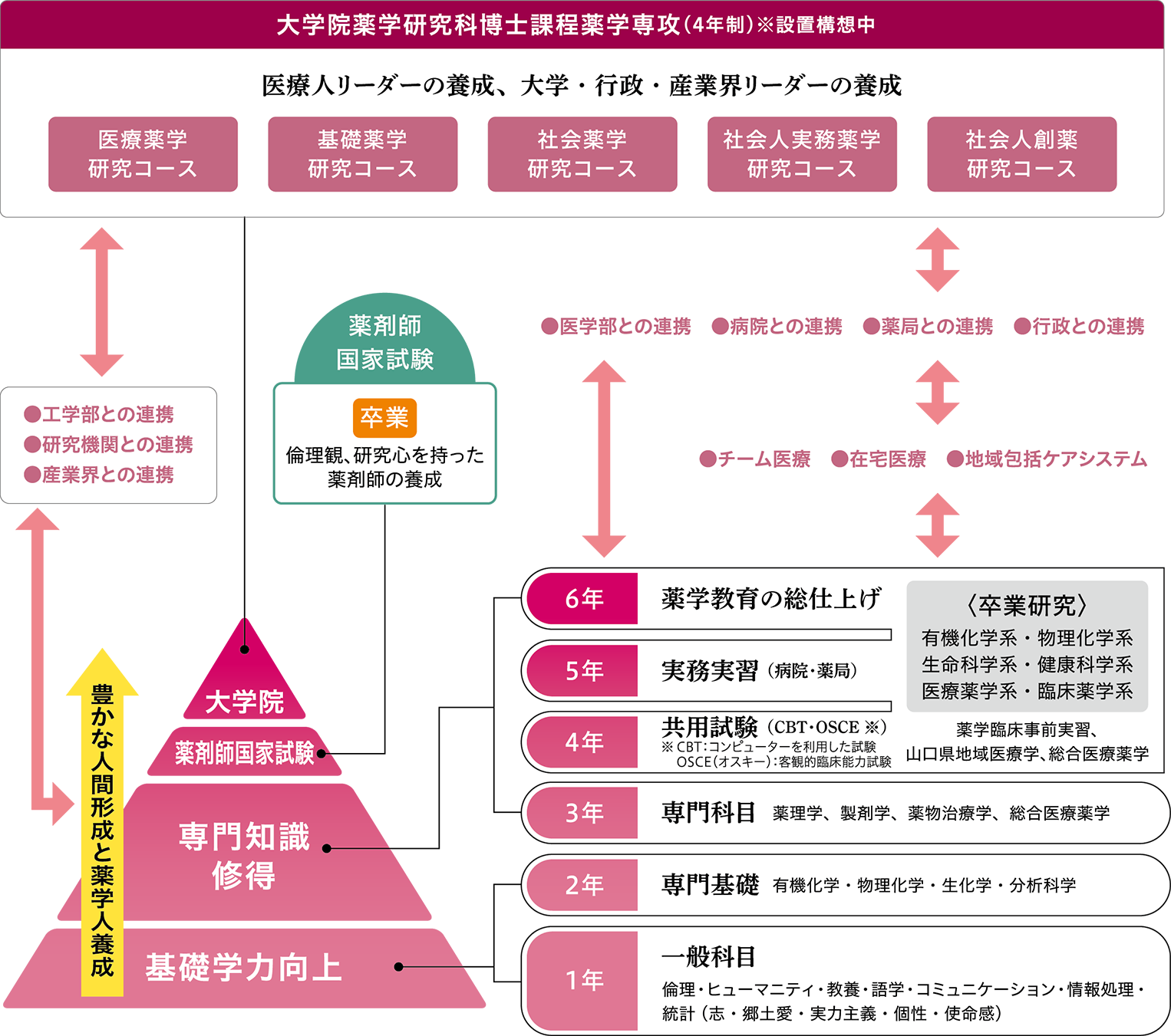 薬学部の教育課程1