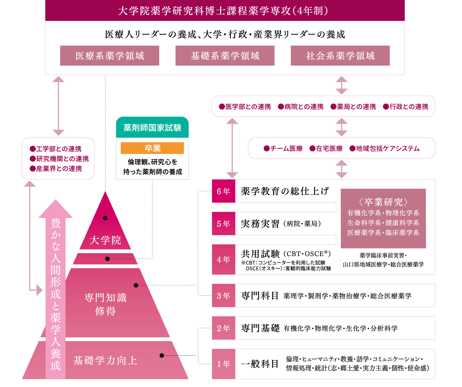 薬学部の教育課程1