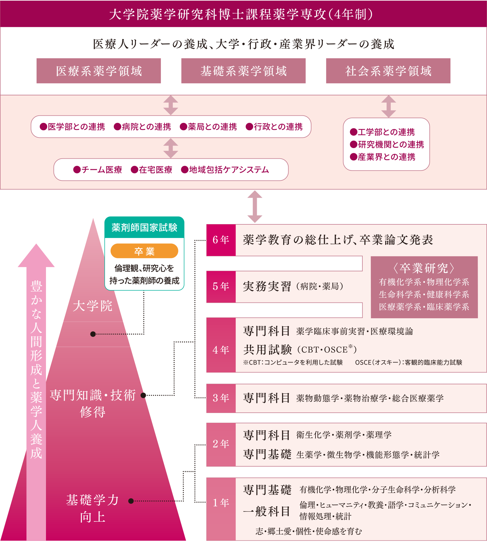 薬学部の教育課程1