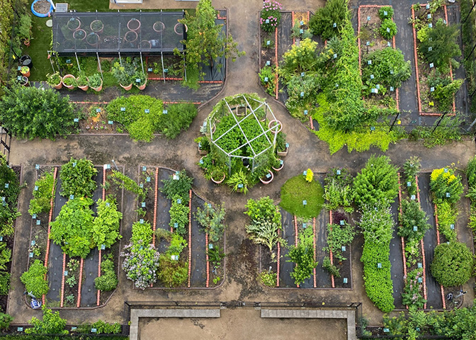 薬用植物園