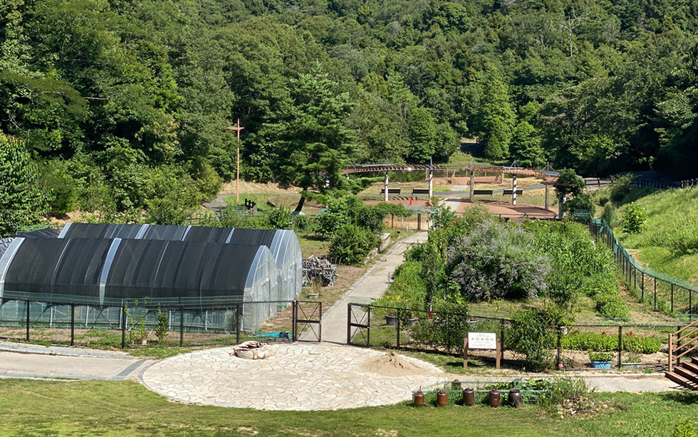 薬学部附属江汐公園薬用植物園